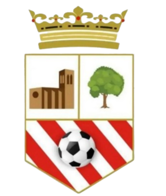 https://img.claudiosgura.com/img/football/team/5b84735c67b02173781b21976735985c.png