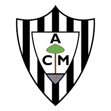 https://img.claudiosgura.com/img/football/team/64622dc708a0a12d4b3e2d924e502082.png